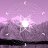 moon_harmony