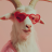 Marla_Singer